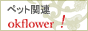 ybg֘A̒ʔ